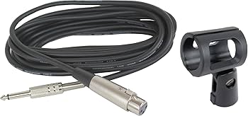 Amazon.com: iSK DM-3600 Vocal Dynamic Microphone with a microphone